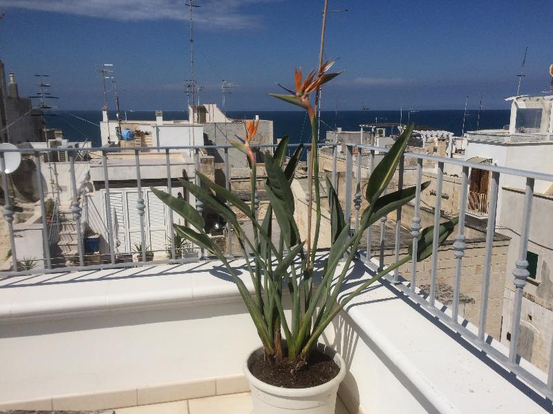 Respiro Del Mare Acomodação com café da manhã Polignano a Mare Exterior foto