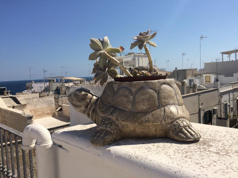 Respiro Del Mare Acomodação com café da manhã Polignano a Mare Exterior foto